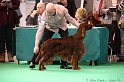 Crufts2011 403